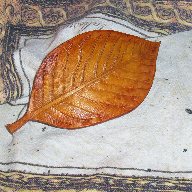 B5